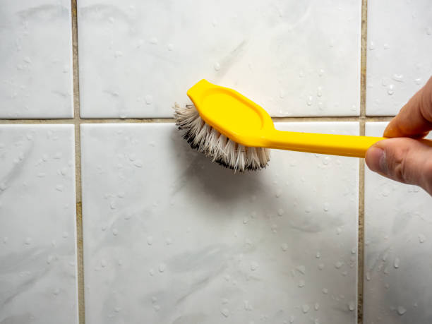 Professional Mold Removal in Miller, SD