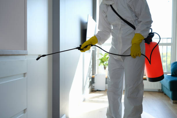 Best Mold Remediation  in Miller, SD