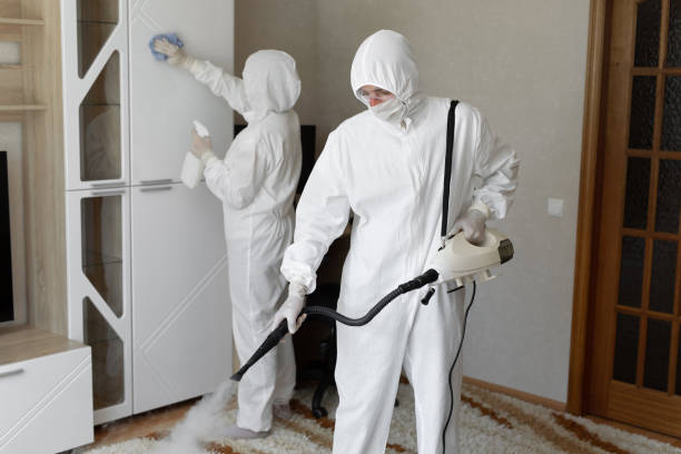 Mold Removal Process in Miller, SD