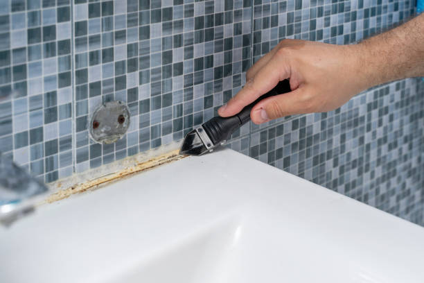 Best Mold Remediation  in Miller, SD
