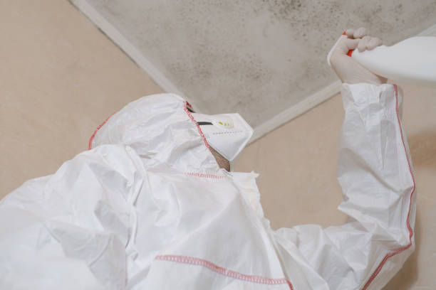 Best Attic Mold Removal  in Miller, SD